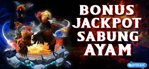 Bonus Winstreak Sabung Ayam 100%